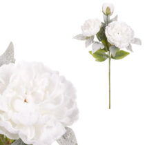 Pivonka, 3 kvety, biela farba